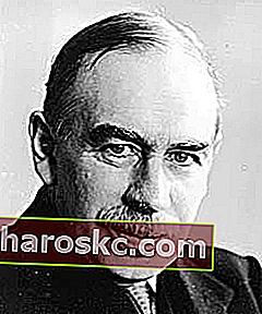 John Keynes: Keynesian Economic Theory 