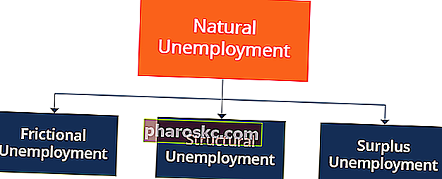 אבטלה טבעית - רכיבים