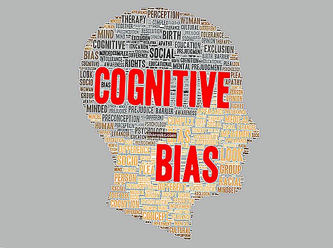Kognitiv bias-tema