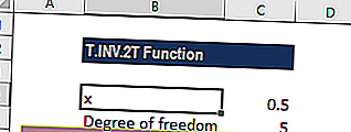 T.INV.2T funkcija
