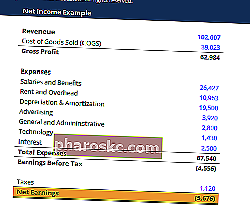 لقطة شاشة لنموذج صافي الدخل