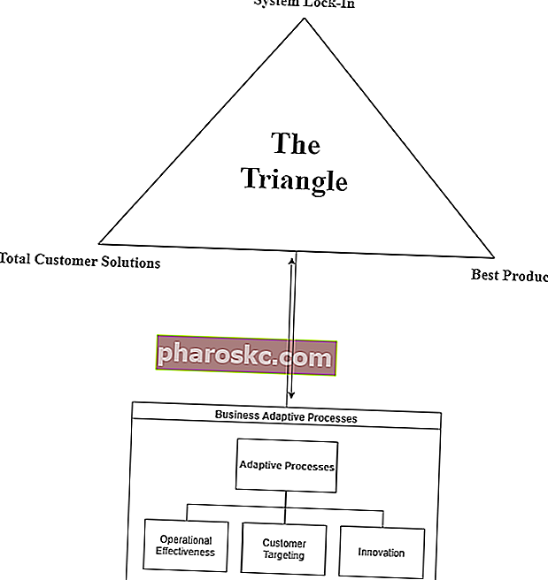 Делта модел на Hax - Триъгълникът
