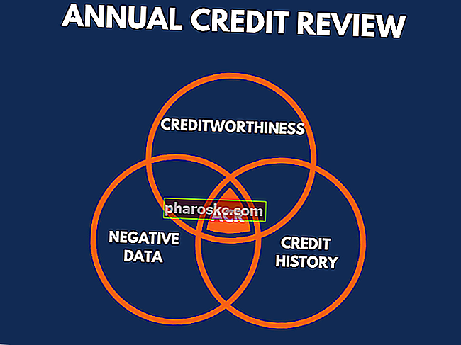 Годишен кредитен преглед