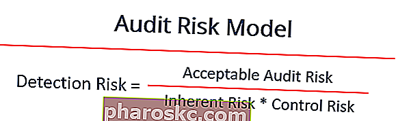 Model rizika revizije