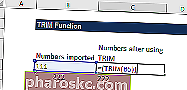 TRIM-funktion - Eksempel 2a