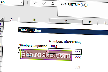 Функция TRIM - Пример 2г
